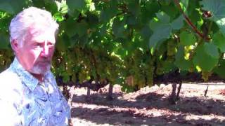 preview picture of video 'Anthony Austin - In the Vineyard, Part 1'