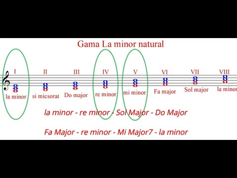 Trepte principale într-o tonalitate minoră