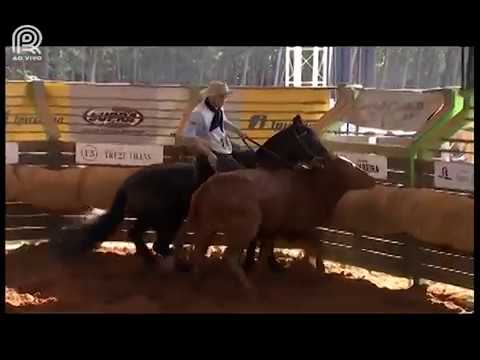 Classificatória Sapucaia (RJ) – 5° lugar fêmeas – Las Callanas Poca Cosa (Prova: Mangueira II)