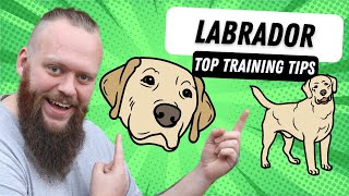 3 Top Tips for Training Your Labrador