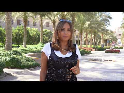 Faculty at the Forefront: Shahira Fahmy