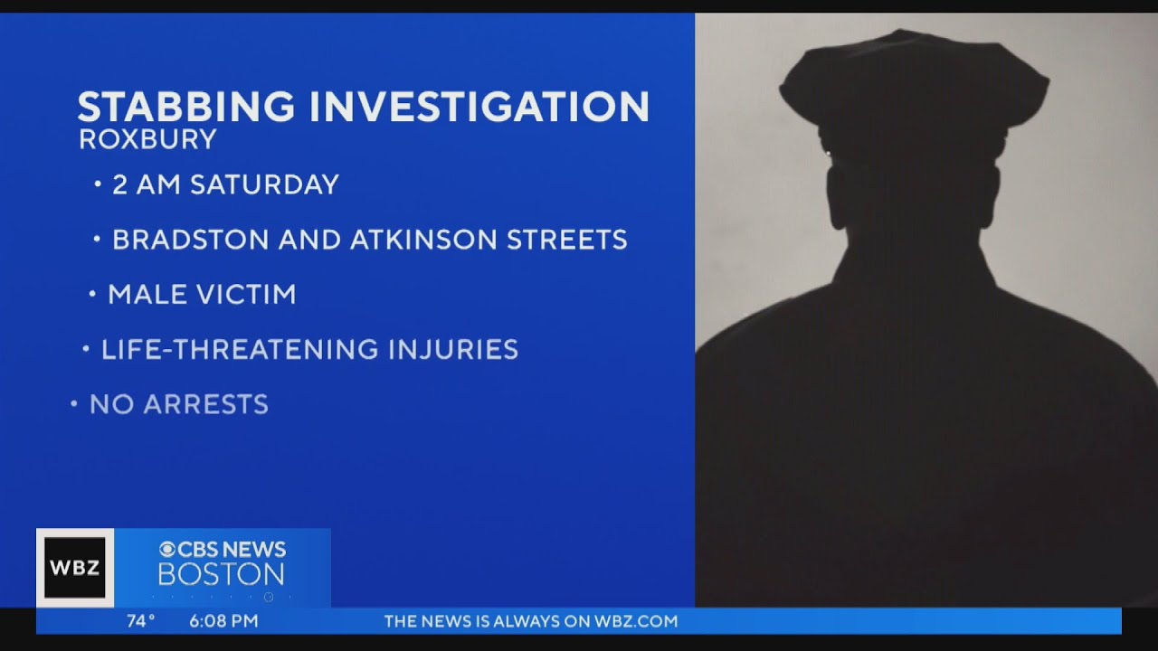 Boston Police investigate Roxbury stabbing