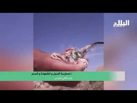 مقابر الجزائر تتحول إلى مواقع مشبوهة للمارسة الدجل و الشعوذة و السحر