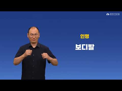 보디발 수어