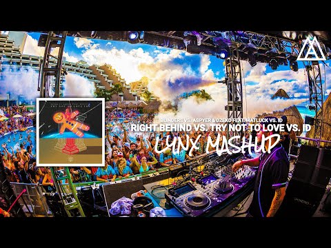 Blinders vs Dzeko vs Martin Garrix & Mesto - Right Behind vs Try Not To Love vs Limitless (Mashup)