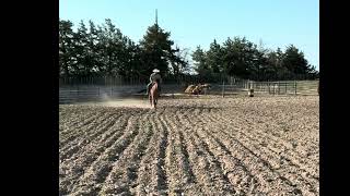 Video 1