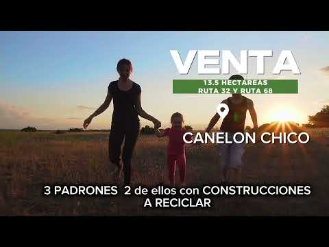 Gran oportunidad de venta de CAMPO en CANELON CHICO total 3 padrones con un total de 13,5 HECTÁREAS