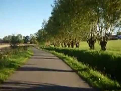 STARKÓW-WIEŚ SPOKOJNA I TONĄCA W ŚRÓD DZIKIEJ PRZYRODY