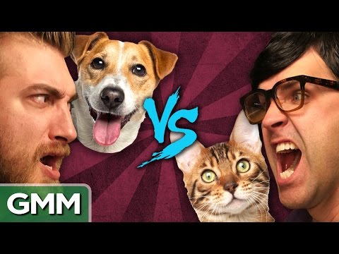 Cats vs. Dogs: Debate-O-Rama