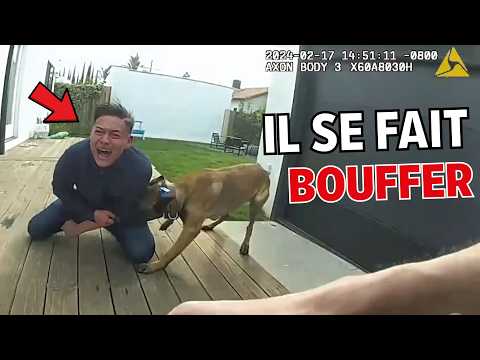 Ce Voleur Idiot se Fait Bouffer par un Chien Policier 🐕🚔