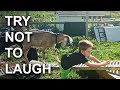 Best Fails Of The Week Try Not To Laugh
