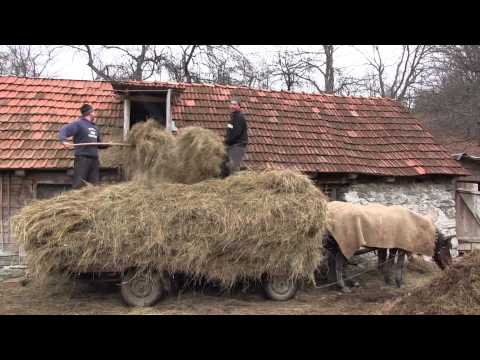 CORNEREVA - partea I