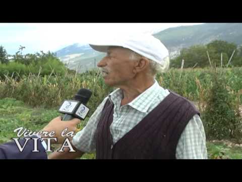 VIVERE LA VITA PT 28