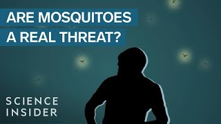 Should We Kill Off Mosquitoes?
