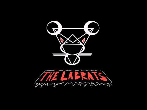 The Labrats - Tippuu Tippuu