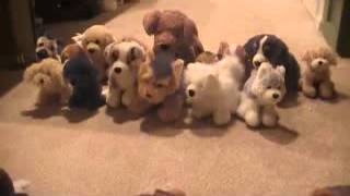 ~DREAMING WOLVES~ Season 2 Episode 10 (A Necessary Thank You)