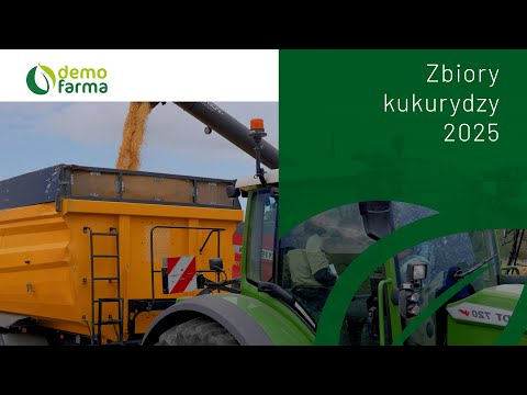 Film na temat: { video.title }}