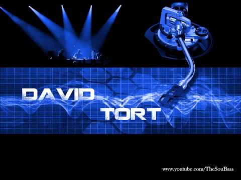David Tort - Something About You (Original Mix)