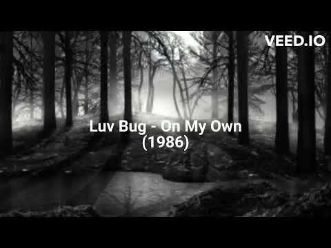 Luv Bug - On My Own (1986)