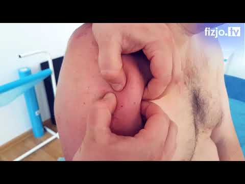 Kulturystyka aktualności motywacja wideo Konkursy trening kulturystyka