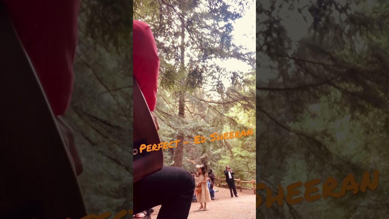 Promotional video thumbnail 3 for Private Event Host & Guitarist