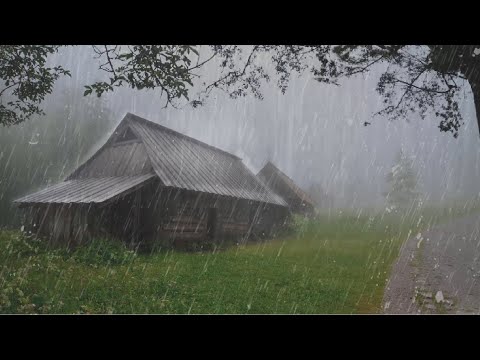 Sleep Instantly in 2 Minutes 💤 Relaxing Rain Sound in Foggy Forest for Deep Sleep