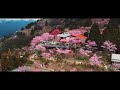 阿凱Kaixun My Buddy Mike Hollow 恩愛農場 中巴陵櫻木花道