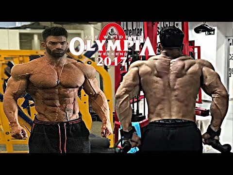 Sergi Constance  Road to Mr Olympia 2017