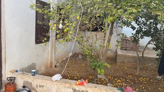 Download lagu #روتيني_اليومي 😱🙈#الدار_البيضاء #السعودية #سوريا #فرنسا #كندا #الكويت #المغرب #الله #قطر #travel mp3