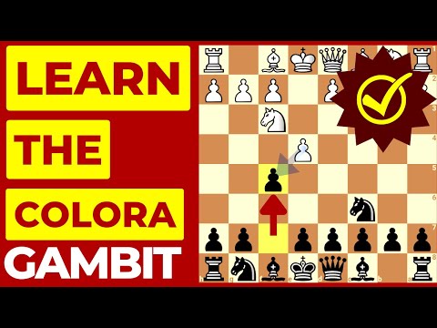 Learn This Amazing Colorado Gambit in 10 Minutes 💡