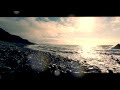 Biosphere - Kobresia