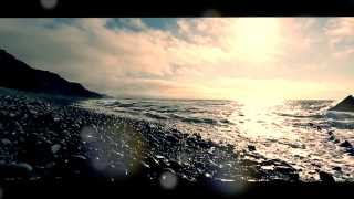 Biosphere - Kobresia