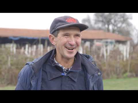 Domaćine kako radiš 12.02.2018. - Ovčarstvo - Čikerija i Gardinovci