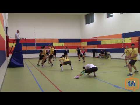 Sintesi Goldfighters - Up Settimo