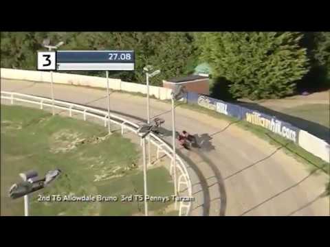 2018 WILLIAM HILL CLASSIC HEAT 3 - T3 JAGUAR JACK