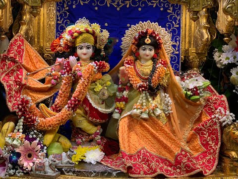 Nityananda Bhakti Shastri: Module2, Week 52 (Recap Week 51+ BG 8.26-8.28)