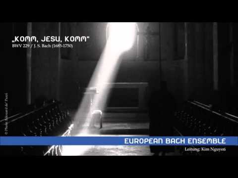Komm, Jesu, komm - BWV 229 (Johann Sebastian Bach)
