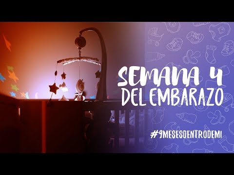 Semana 4 de embarazo