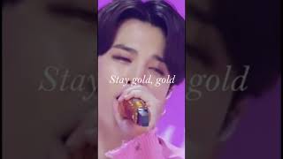 stay gold bts full screen with lyrics(short)