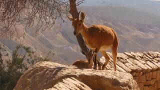 take it all away - cake