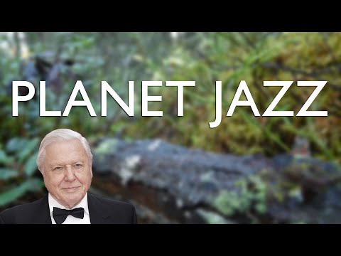 PLANET JAZZ - a nature documentary