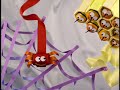 Abby En El País De Las Maravillas Abby In Wonderland Little Things Elmo And Abby Latin Spanish