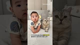 Download lagu Babu mengerjakan pekerjaan rumah🏠Milo menjaga dede bayi😻😺 #kucing #kucingmilo mp3