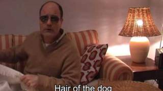 Learn English Idioms: enjoy the Hair of the Dog. Did you have a bad one last night?