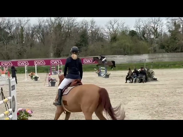 Cheval de compétition 8 ans - Pro 2, Amateur Élite