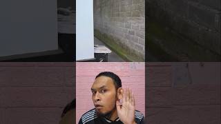 Download lagu Emak dengar suara aneh #trendingshorts #masukberanda #comedy #funny #lucu mp3