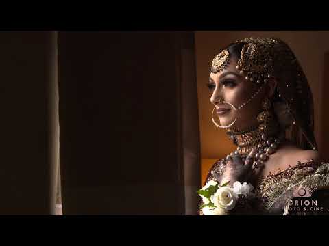 Pakistani Regal Look - Orion