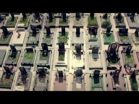 The Haxans - Fall Into You