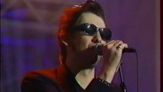 shane mcgowan and the popes - that woman&#39;s got me drinking - live - 1995