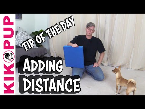 What is Clicker Training